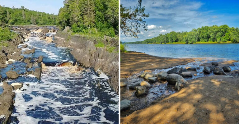 18 Minnesota Adventures For Dogs That Thrive Around Lakes And Trails