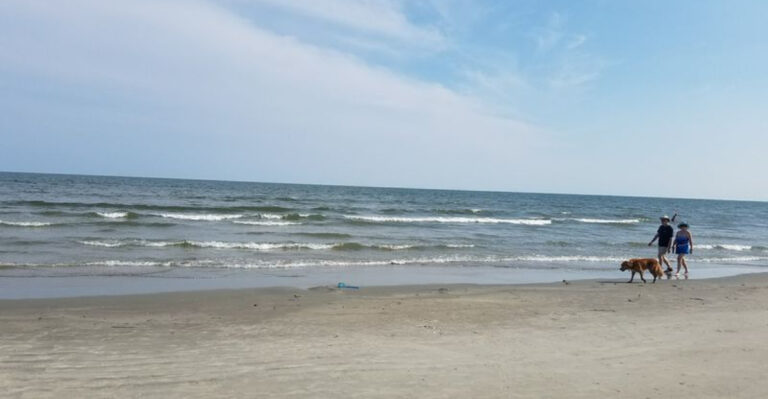 16 South Carolina Weekend Trips Perfect For Owners Who Hate Leaving Their Dogs Behind