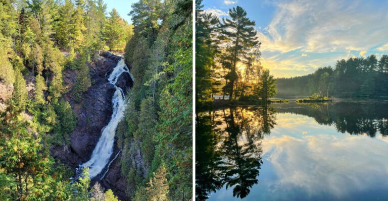 19 Wisconsin State Parks And Forests With Dog-Friendly Trails