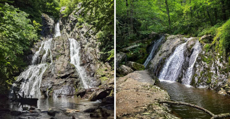 15 Dog-Friendly Shenandoah Trails in Virginia Where Leash Rules Matter More Than You Think
