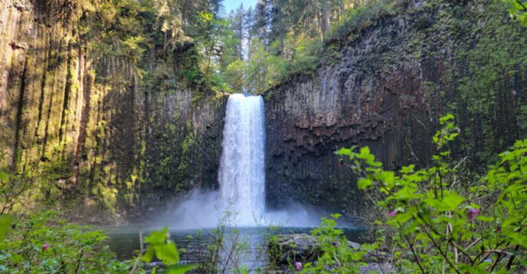15 Dog-Friendly Waterfalls In Oregon Worth The Hike