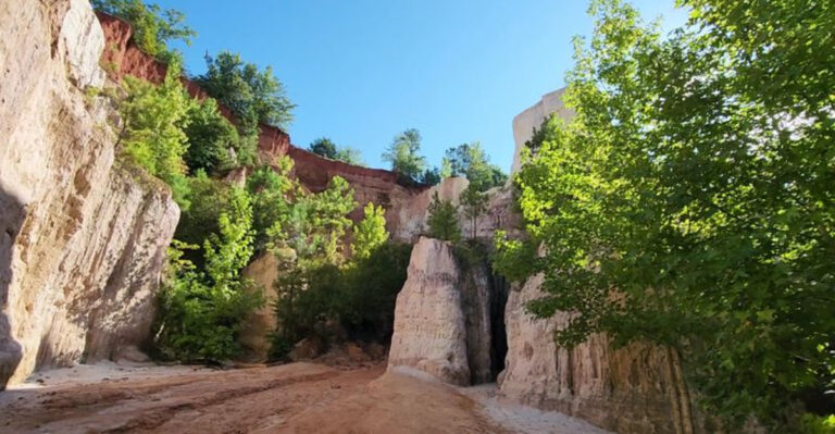16 Georgia Road Trips Worth Taking With Your Dog Along
