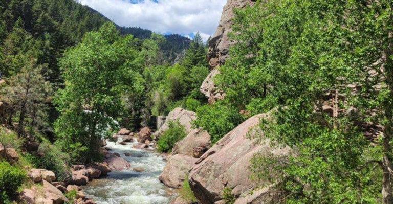 18 Colorado Adventures That Give Active Dogs Plenty To Do
