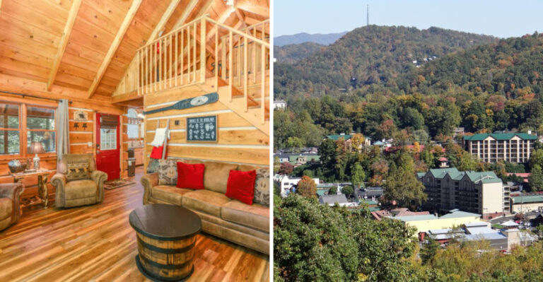 15 Smoky Mountain Cabins in Tennessee Made for Dogs