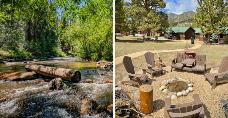 15 Dog-Friendly Cabins in Colorado’s Mountains
