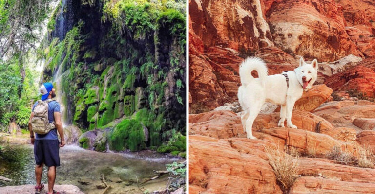 18 Texas Outdoor Adventures That Show Just How Different Dog Life Can Be Across The State