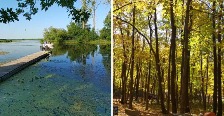 16 Illinois Weekend Escapes For Dogs That Need More Than City Parks