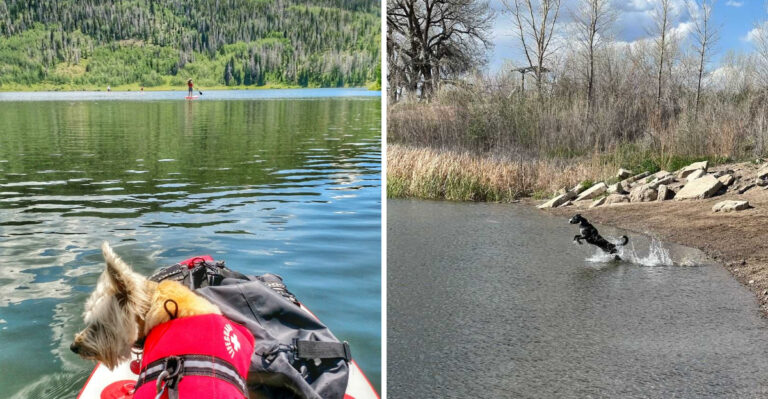 16 Colorado Road Trips Built Around Mountains, Lakes, Trails, And Dog-Friendly Stops