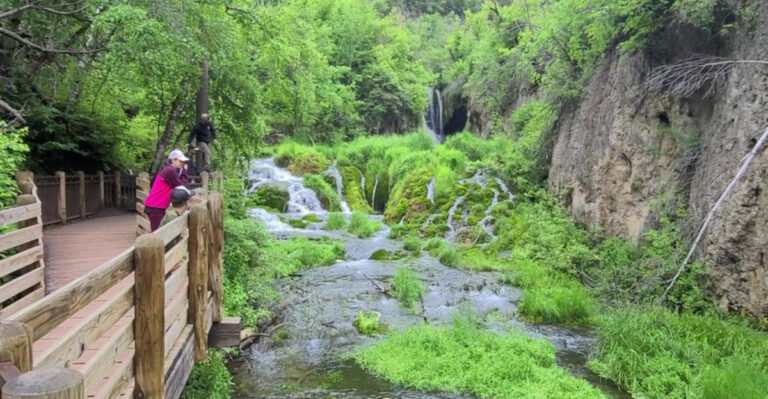 Dog-Friendly Black Hills Adventures For South Dakota Dogs That Prefer Forest To Prairie