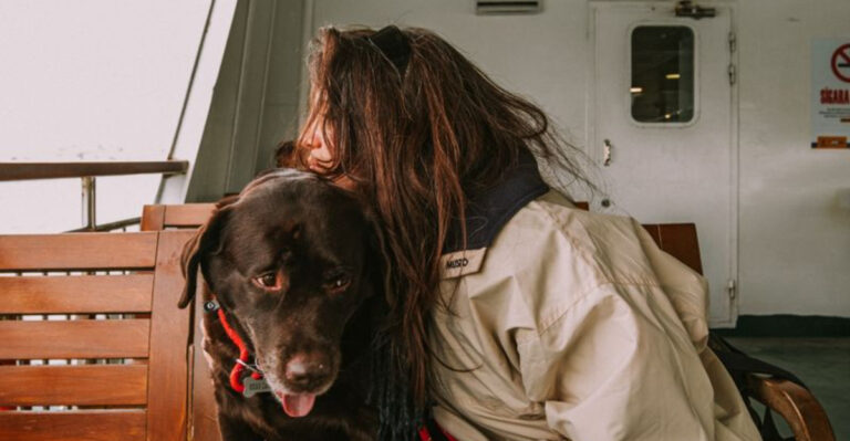 What Dog Owners Should Know Before Taking The Alaska Marine Highway With A Pet