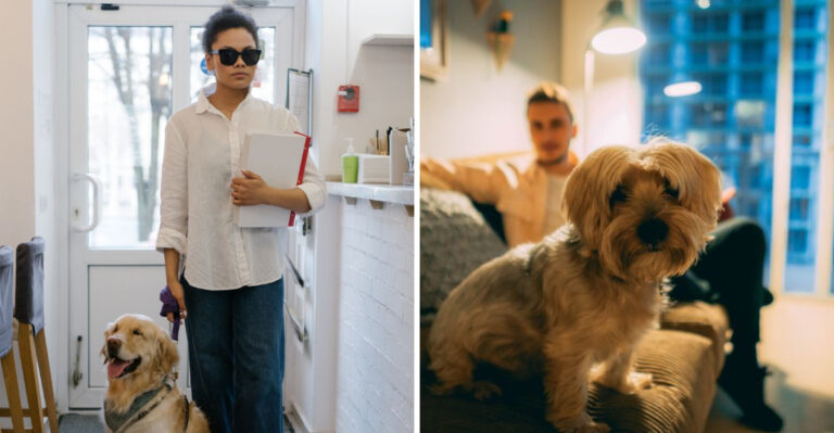 What To Know About Renting With A Dog Under Pennsylvania Landlord Rules