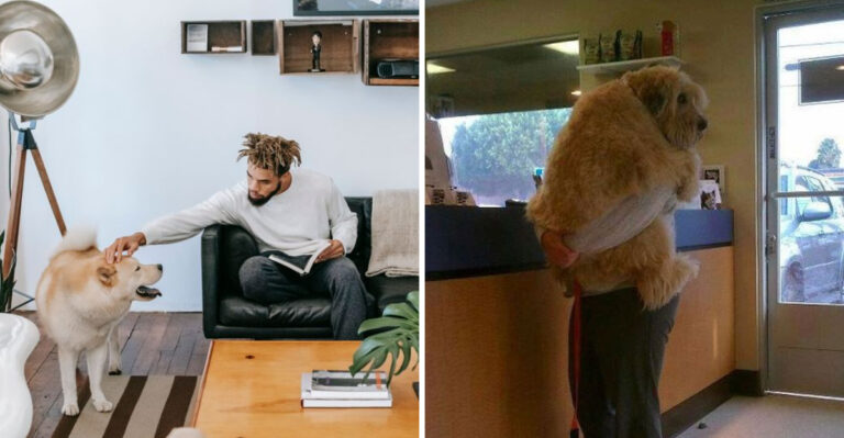 15 Things to Know Before Renting an Apartment With a Dog in California