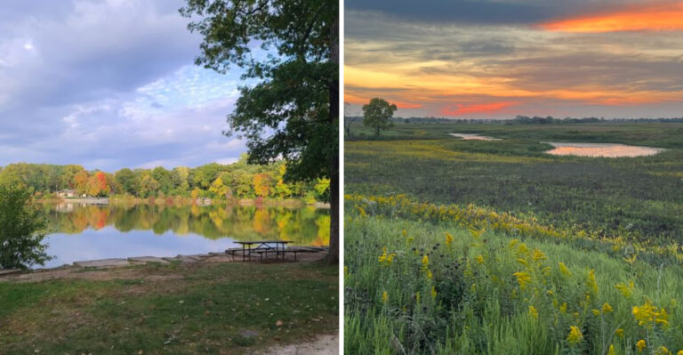 16 Illinois Forest Preserve Adventures To Take With Your Dog