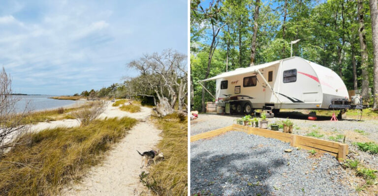 15 Best Dog-Friendly Campgrounds in North Carolina