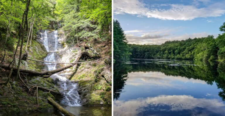 17 Massachusetts Day Trips That Are Easy To Enjoy With A Dog