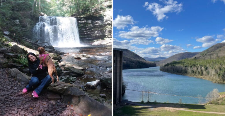 20 Pennsylvania Outdoor Adventures With Dogs That Make The Most Of The State’s Forests, Lakes, And Mountains