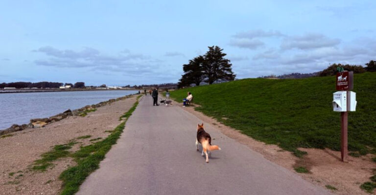 15 California Trails Your Dog Will Remember Forever