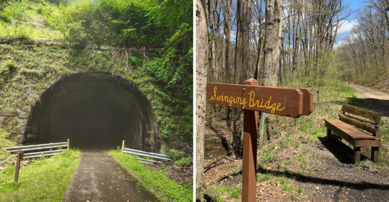 15 Pennsylvania Rail Trails Made For Long Walks With Your Dog