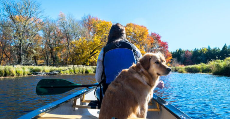 How To Plan A Missouri Float Trip When Your Dog Is Coming Along