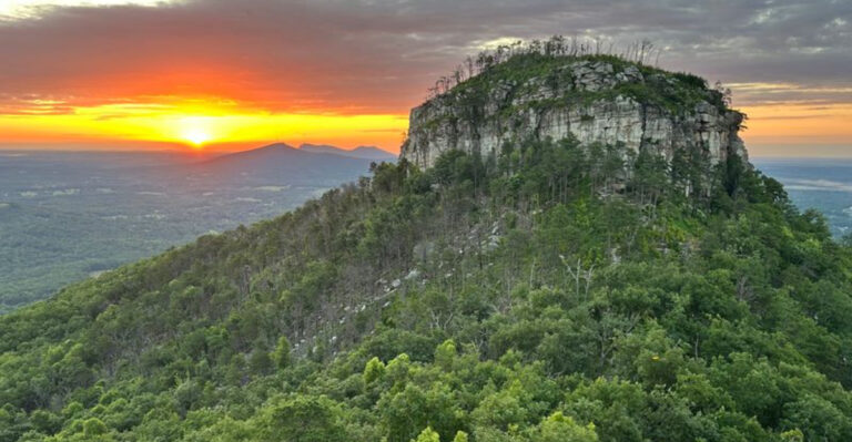 16 North Carolina Weekend Trips Dog Owners Can Build Around The Outdoors