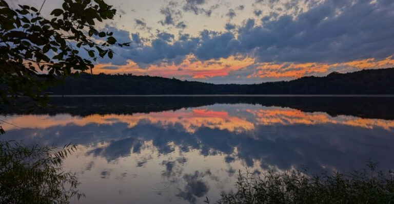 20 Pennsylvania Campgrounds Your Dog Will Never Want to Leave