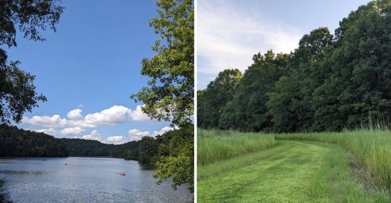 17 Ohio Weekend Escapes Where Dogs Can Trade Sidewalks For Trails And Open Space