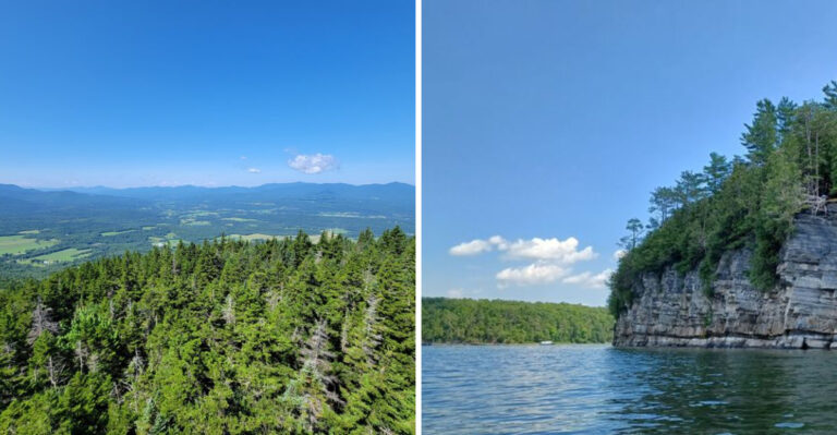 17 Vermont Weekend Escapes Where Dogs Can Enjoy More Space And Fewer Sidewalks