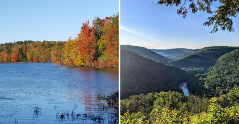 20 Pennsylvania Hiking Areas Dog Owners Should Explore At Least Once