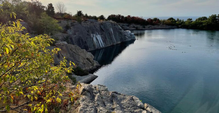 16 Massachusetts Road Trips Worth Planning With Your Dog