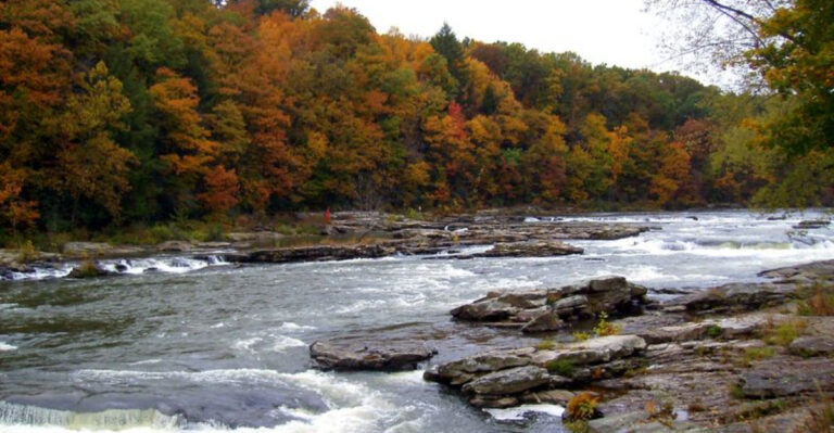 15 Dog-Friendly Weekend Getaways in Pennsylvania