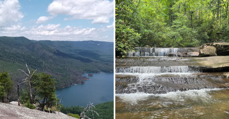 18 South Carolina Adventures That Take Dogs Beyond The Usual Beach Walk