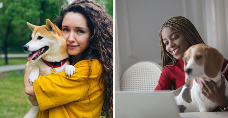 What To Know About Dog Licensing Rules In Ohio