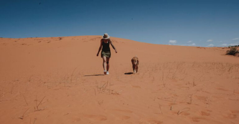 How Hot Slickrock Changes Summer Hiking Plans For Utah Dogs