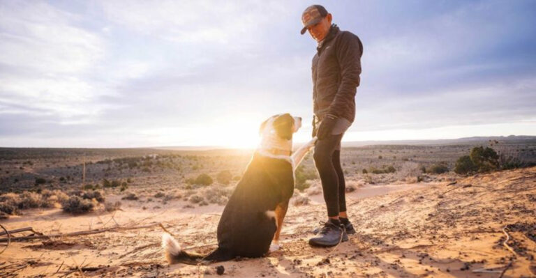 15 High-Energy Dogs That Love the Arizona Outdoors