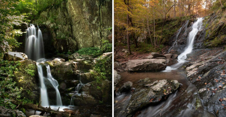 15 Virginia Waterfalls And Swimming Holes Worth Visiting With Your Dog