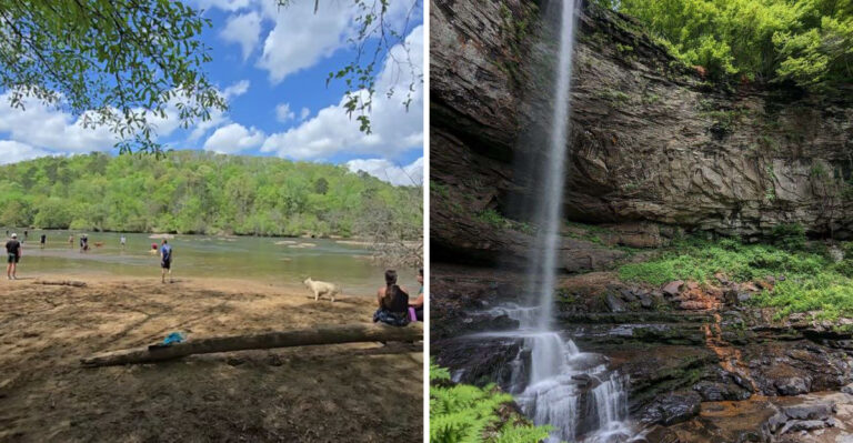 19 Georgia Adventures Dog Owners Can Enjoy From The Mountains To The Coast