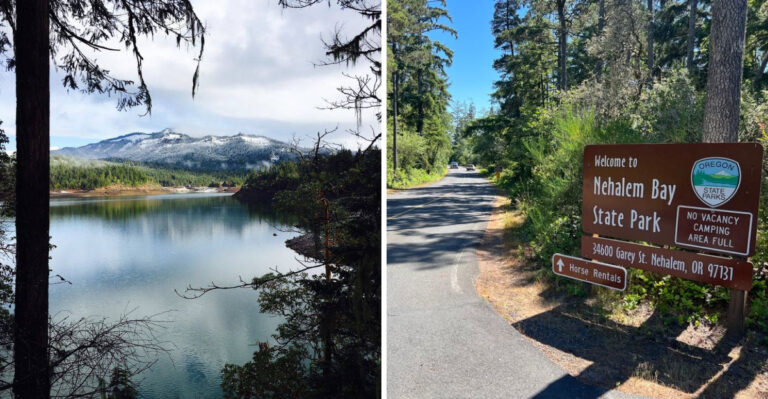 18 Oregon Rainy-Day And Wet-Weather Adventures For Dogs That Still Need Exercise