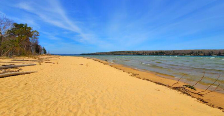 12 Michigan Waterfront Towns Made for Summer With Your Dog