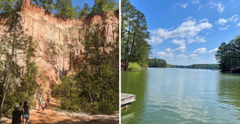 20 Georgia Weekends Built Entirely Around Your Dog