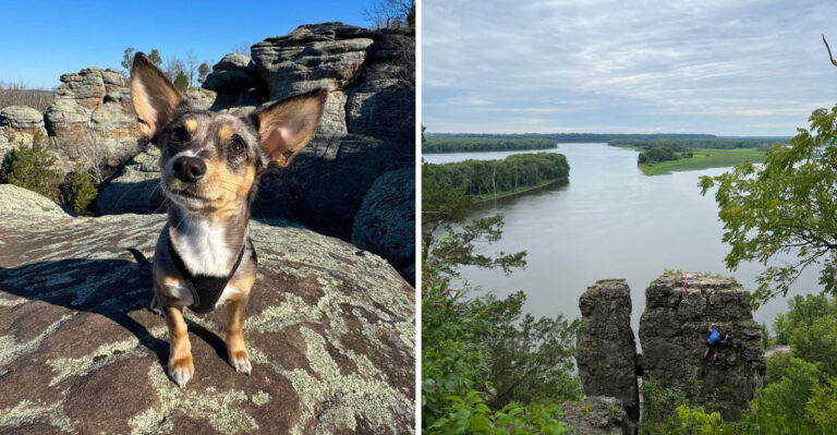 20 Illinois Road Trips Worth Taking With Your Dog