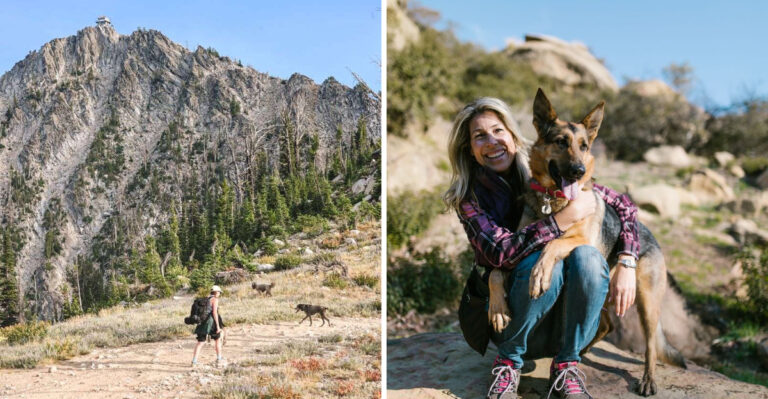 How High Elevation Changes A Dog’s Hike In Wyoming