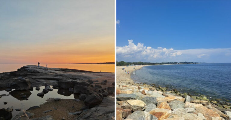 15 Connecticut Shore Trips To Take With Your Dog Outside Peak Beach Season