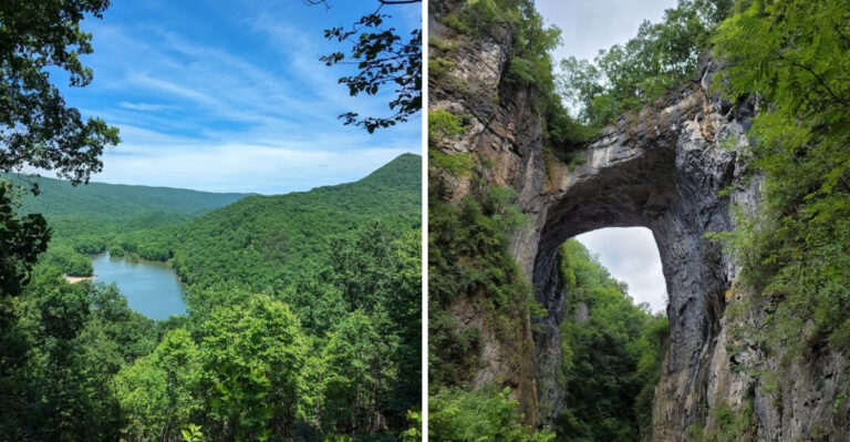 20 Virginia Outdoor Escapes For Dogs That Need More Than A Neighborhood Walk