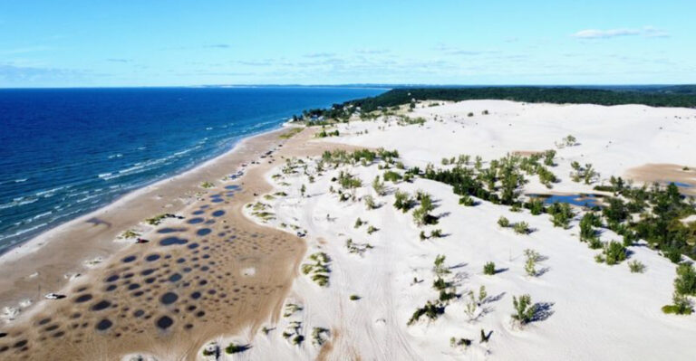 12 Michigan State Parks With Pet-Friendly Shorelines Worth The Drive