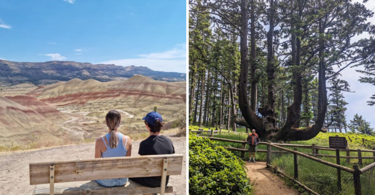 18 Oregon Road Trips Built Around The Coast, Forests, Mountains, And High Desert