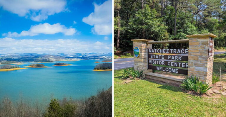 18 Tennessee Adventures That Give Dogs Plenty To Explore Beyond The Backyard