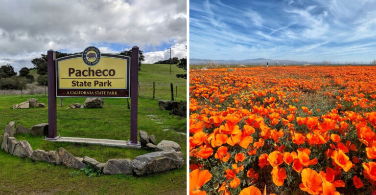 20 Places You Can’t Bring Your Dog in California