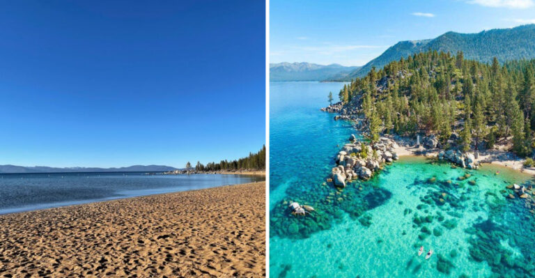 Dog-Friendly Lake Tahoe Days From The Nevada Side