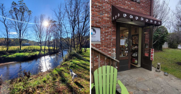 18 North Carolina Mountain Towns Made for Dogs and the People Who Spoil Them