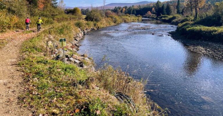 15 Scenic Summer Drives to Take With Your Dog in Vermont